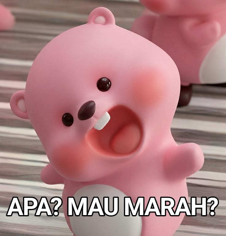 POHON4D